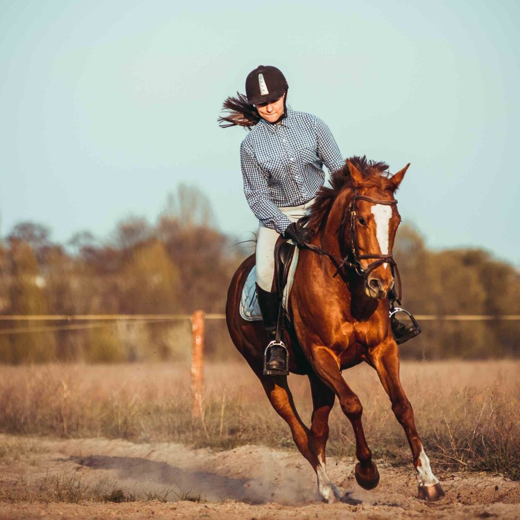 Young woman athlete rides a horse. Jumping training in the spring in the field. Horseback Riding. Gender equality in sports.